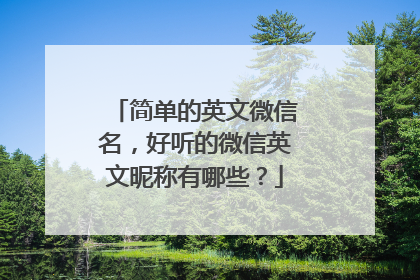 简单的英文微信名,好听的微信英文昵称有哪些?