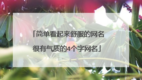 简单看起来舒服的网名 很有气质的4个字网名