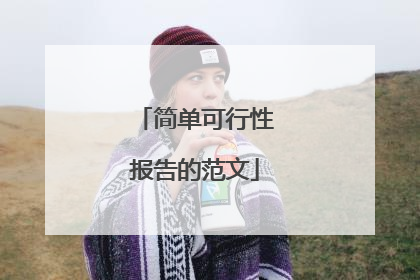 简单可行性报告的范文