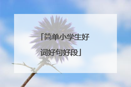 简单小学生好词好句好段