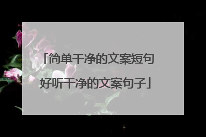 简单干净的文案短句 好听干净的文案句子
