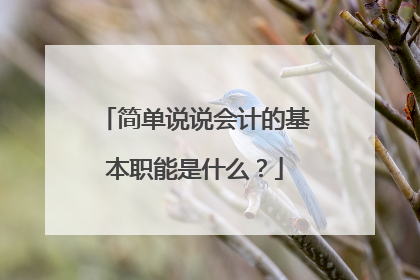 简单说说会计的基本职能是什么？