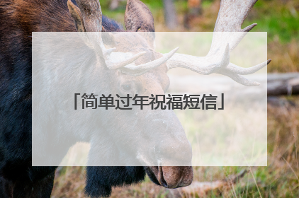 简单过年祝福短信
