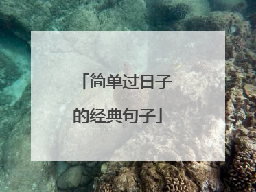 简单过日子的经典句子