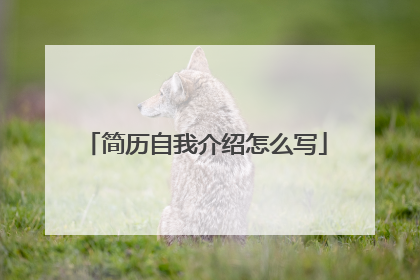 简历自我介绍怎么写