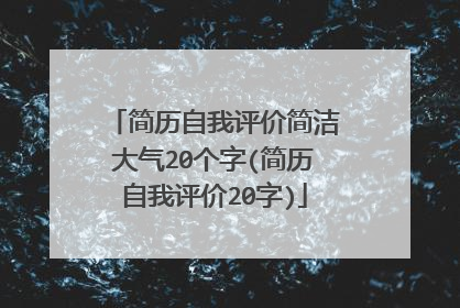 简历自我评价简洁大气20个字(简历自我评价20字)