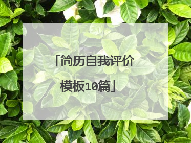 简历自我评价模板10篇
