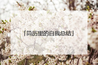 简历里的自我总结