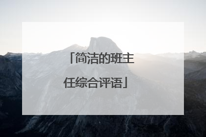 简洁的班主任综合评语