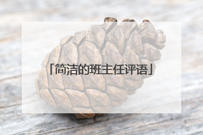 简洁的班主任评语