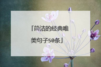 简洁的经典唯美句子50条