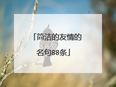 简洁的友情的名句88条