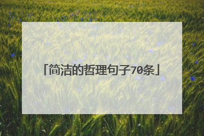 简洁的哲理句子70条