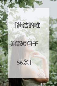 简洁的唯美简短句子56条