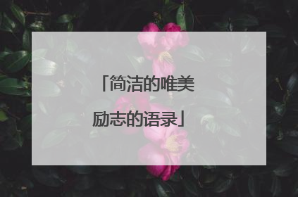 简洁的唯美励志的语录