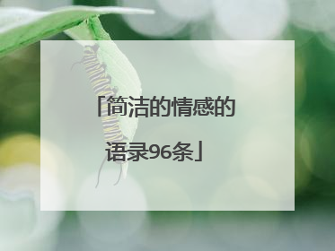 简洁的情感的语录96条