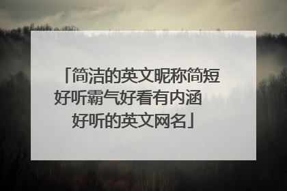 简洁的英文昵称简短好听霸气好看有内涵 好听的英文网名