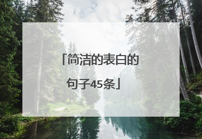 简洁的表白的句子45条