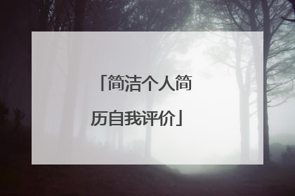 简洁个人简历自我评价