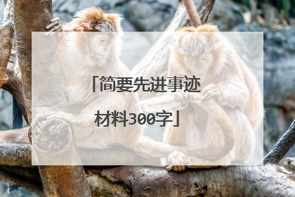 简要先进事迹材料300字