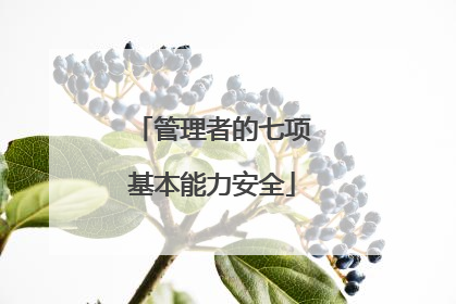 管理者的七项基本能力安全