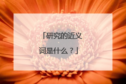 研究的近义词是什么？