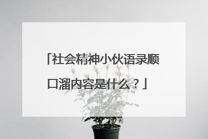 社会精神小伙语录顺口溜内容是什么？