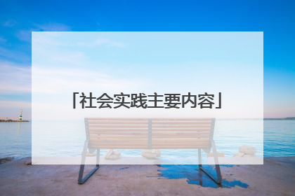 社会实践主要内容