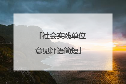 社会实践单位意见评语简短