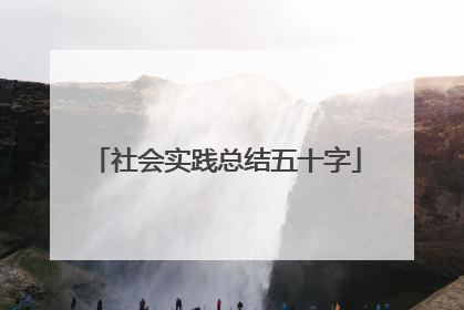 社会实践总结五十字