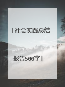 社会实践总结报告500字