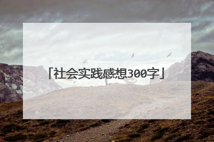 社会实践感想300字