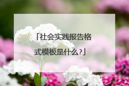 社会实践报告格式模板是什么?