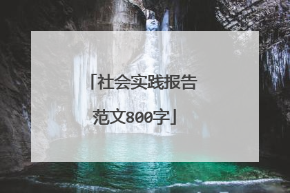 社会实践报告范文800字