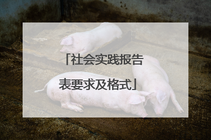 社会实践报告表要求及格式