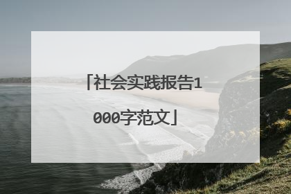 社会实践报告1000字范文