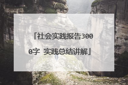 社会实践报告3000字 实践总结讲解