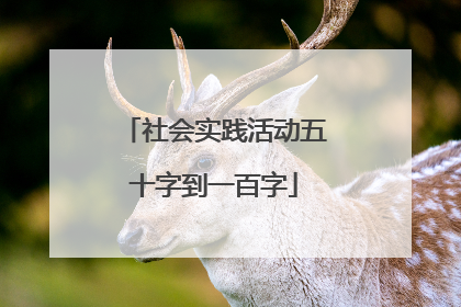 社会实践活动五十字到一百字