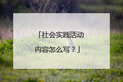 社会实践活动内容怎么写?