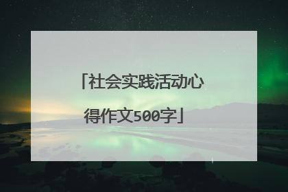 社会实践活动心得作文500字