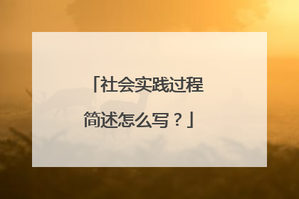 社会实践过程简述怎么写？