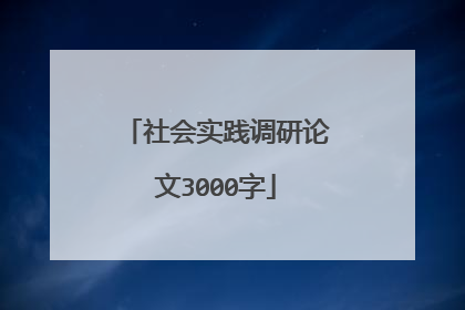 社会实践调研论文3000字