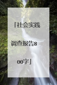 社会实践调查报告800字