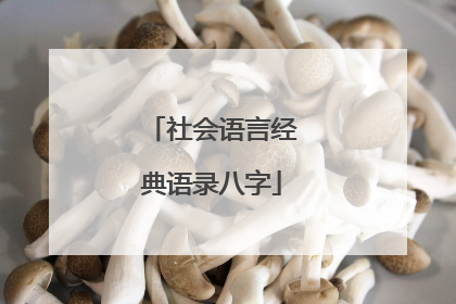 社会语言经典语录八字