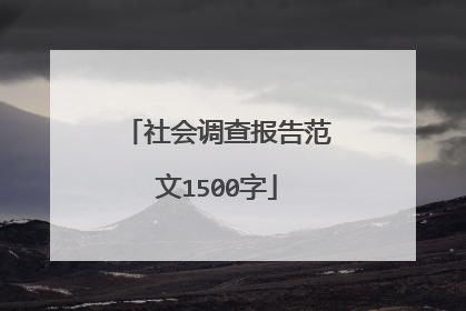 社会调查报告范文1500字