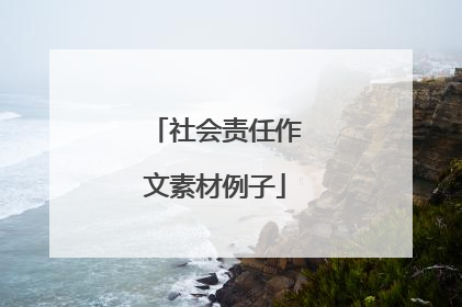 社会责任作文素材例子