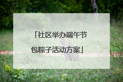 社区举办端午节包粽子活动方案