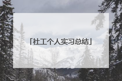 社工个人实习总结