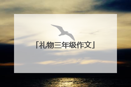 礼物三年级作文