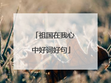 祖国在我心中好词好句